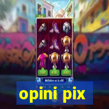 opini pix